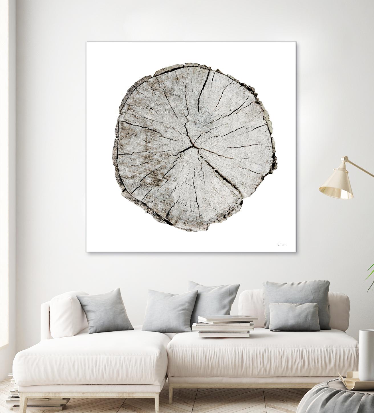 Woodland Years I on White by Sue Schlabach on GIANT ART - grey trees