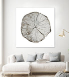 Woodland Years I on White by Sue Schlabach on GIANT ART - grey trees