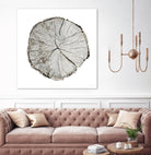 Woodland Years I on White by Sue Schlabach on GIANT ART - grey trees