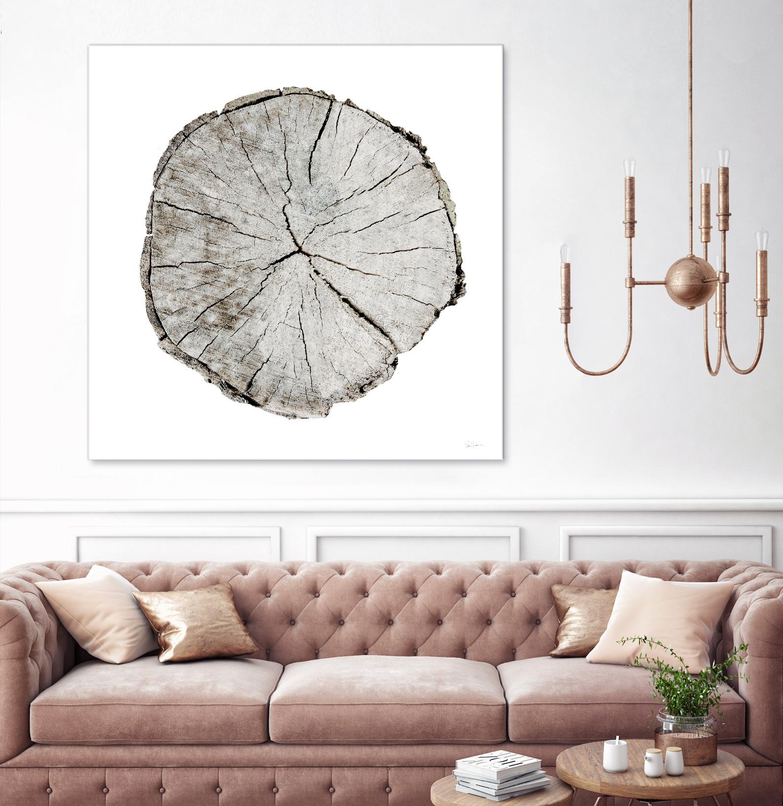 Woodland Years I on White by Sue Schlabach on GIANT ART - grey trees