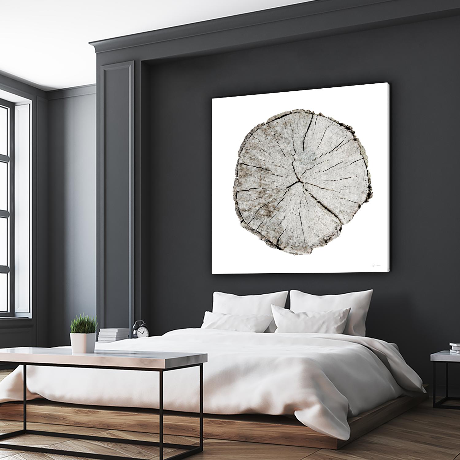 Woodland Years I on White by Sue Schlabach on GIANT ART - grey trees