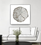 Woodland Years I on White by Sue Schlabach on GIANT ART - grey trees