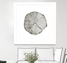 Woodland Years I on White by Sue Schlabach on GIANT ART - grey trees