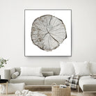 Woodland Years I on White by Sue Schlabach on GIANT ART - grey trees