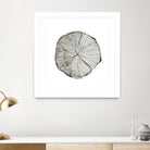 Woodland Years I on White by Sue Schlabach on GIANT ART - grey trees