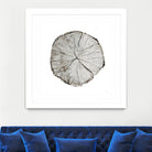 Woodland Years I on White by Sue Schlabach on GIANT ART - grey trees