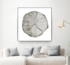 Woodland Years I on White by Sue Schlabach on GIANT ART - grey trees