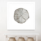 Woodland Years I on White by Sue Schlabach on GIANT ART - grey trees