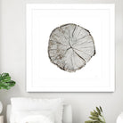 Woodland Years I on White by Sue Schlabach on GIANT ART - grey trees