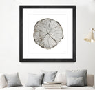 Woodland Years I on White by Sue Schlabach on GIANT ART - grey trees