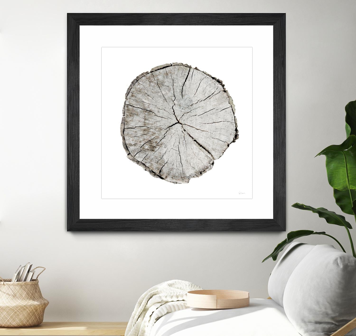 Woodland Years I on White by Sue Schlabach on GIANT ART - grey trees