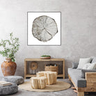Woodland Years I on White by Sue Schlabach on GIANT ART - grey trees