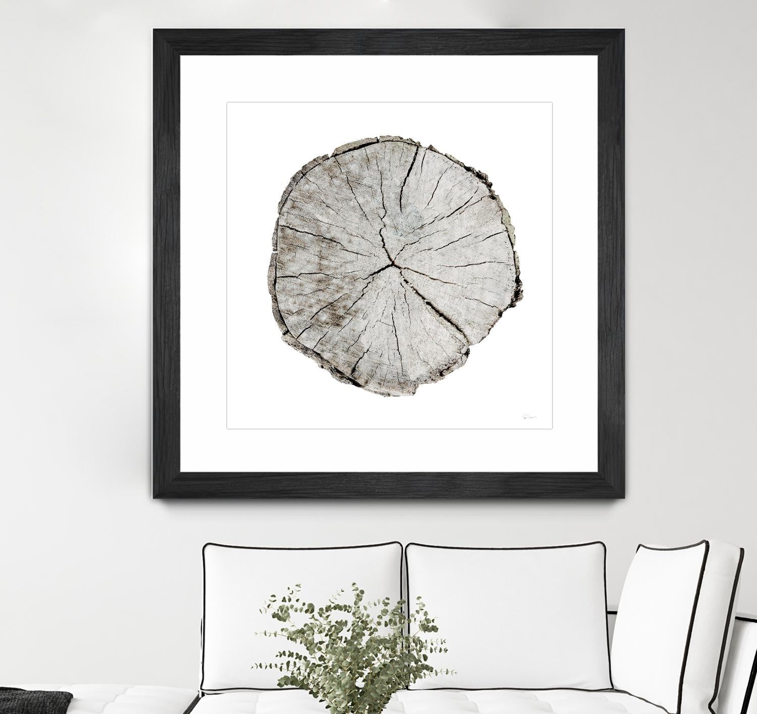 Woodland Years I on White by Sue Schlabach on GIANT ART - grey trees
