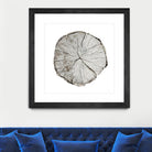 Woodland Years I on White by Sue Schlabach on GIANT ART - grey trees