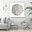 Woodland Years I on White by Sue Schlabach on GIANT ART - grey trees