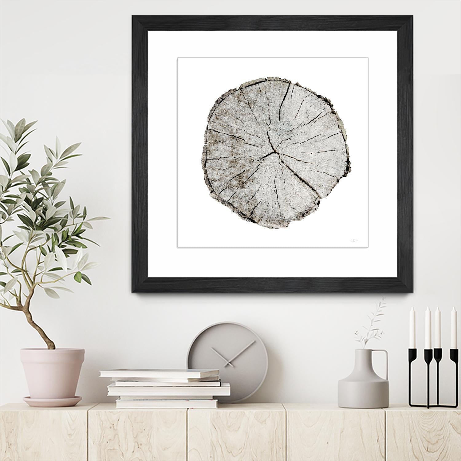 Woodland Years I on White by Sue Schlabach on GIANT ART - grey trees