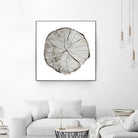 Woodland Years I on White by Sue Schlabach on GIANT ART - grey trees