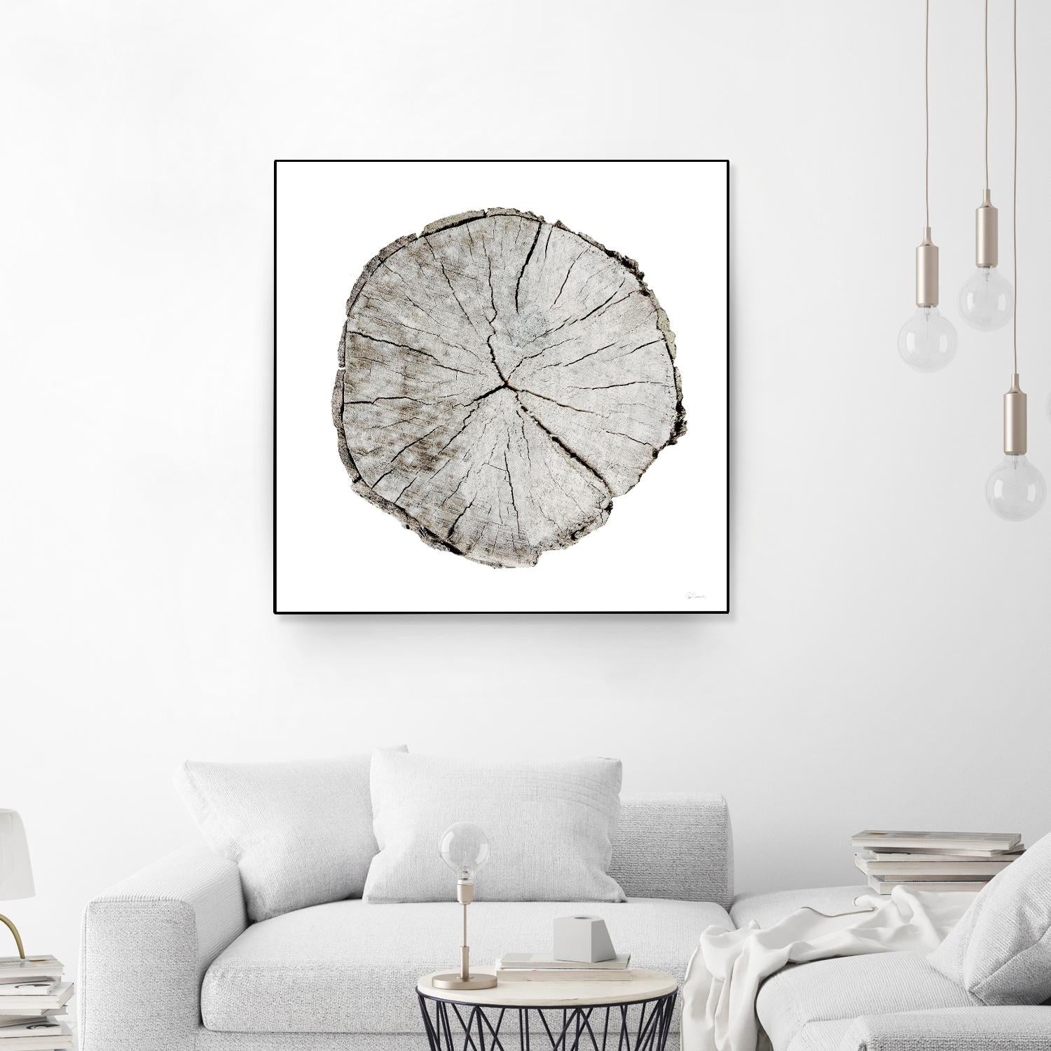 Woodland Years I on White by Sue Schlabach on GIANT ART - grey trees