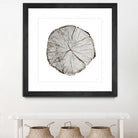 Woodland Years I on White by Sue Schlabach on GIANT ART - grey trees