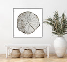 Woodland Years I on White by Sue Schlabach on GIANT ART - grey trees