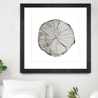 Woodland Years I on White by Sue Schlabach on GIANT ART - grey trees