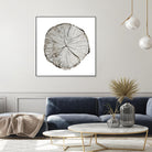 Woodland Years I on White by Sue Schlabach on GIANT ART - grey trees