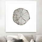 Woodland Years I on White by Sue Schlabach on GIANT ART - grey trees