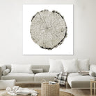 Woodland Years II on White by Sue Schlabach on GIANT ART - grey trees