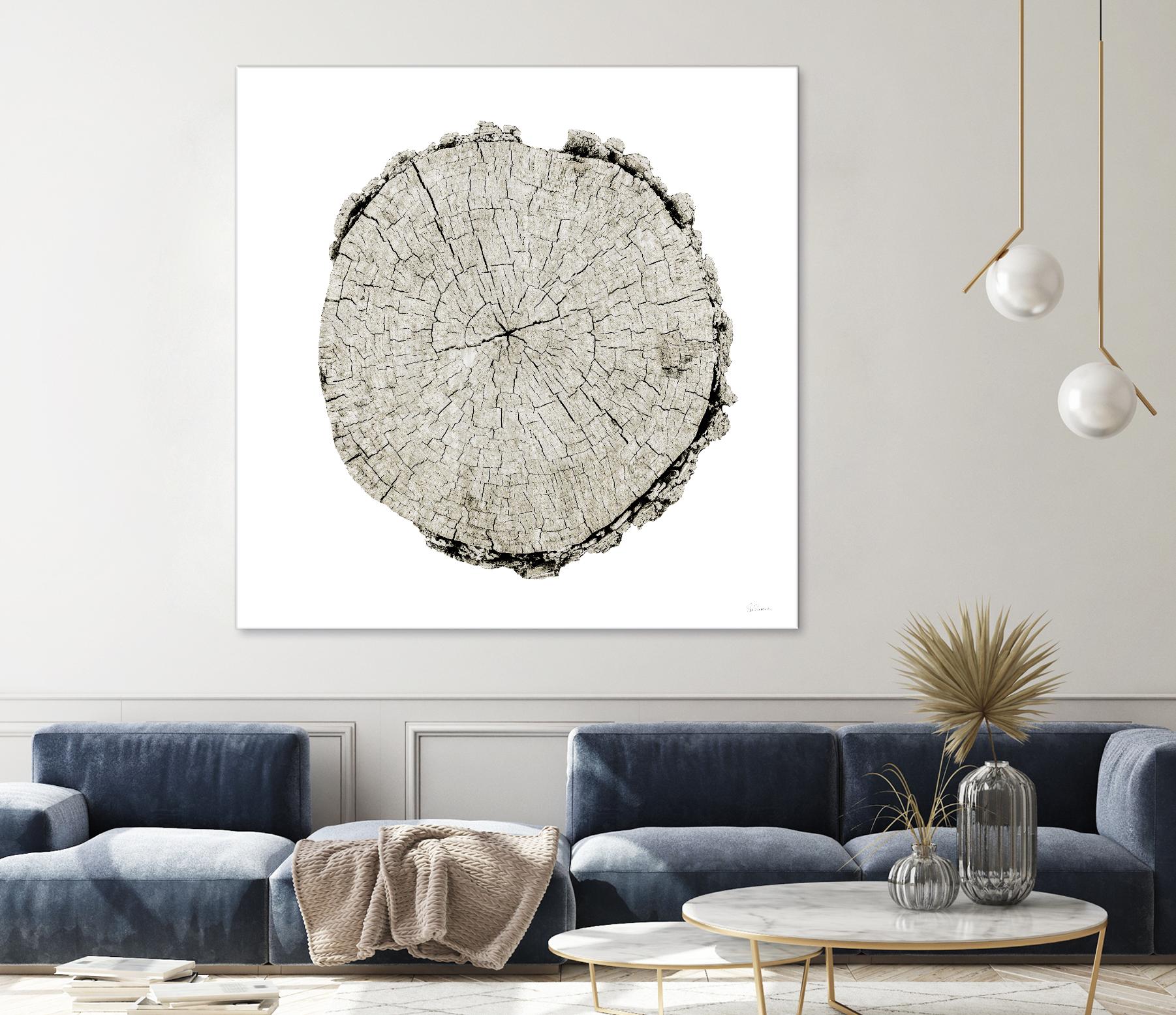 Woodland Years II on White by Sue Schlabach on GIANT ART - grey trees