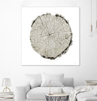 Woodland Years II on White by Sue Schlabach on GIANT ART - grey trees