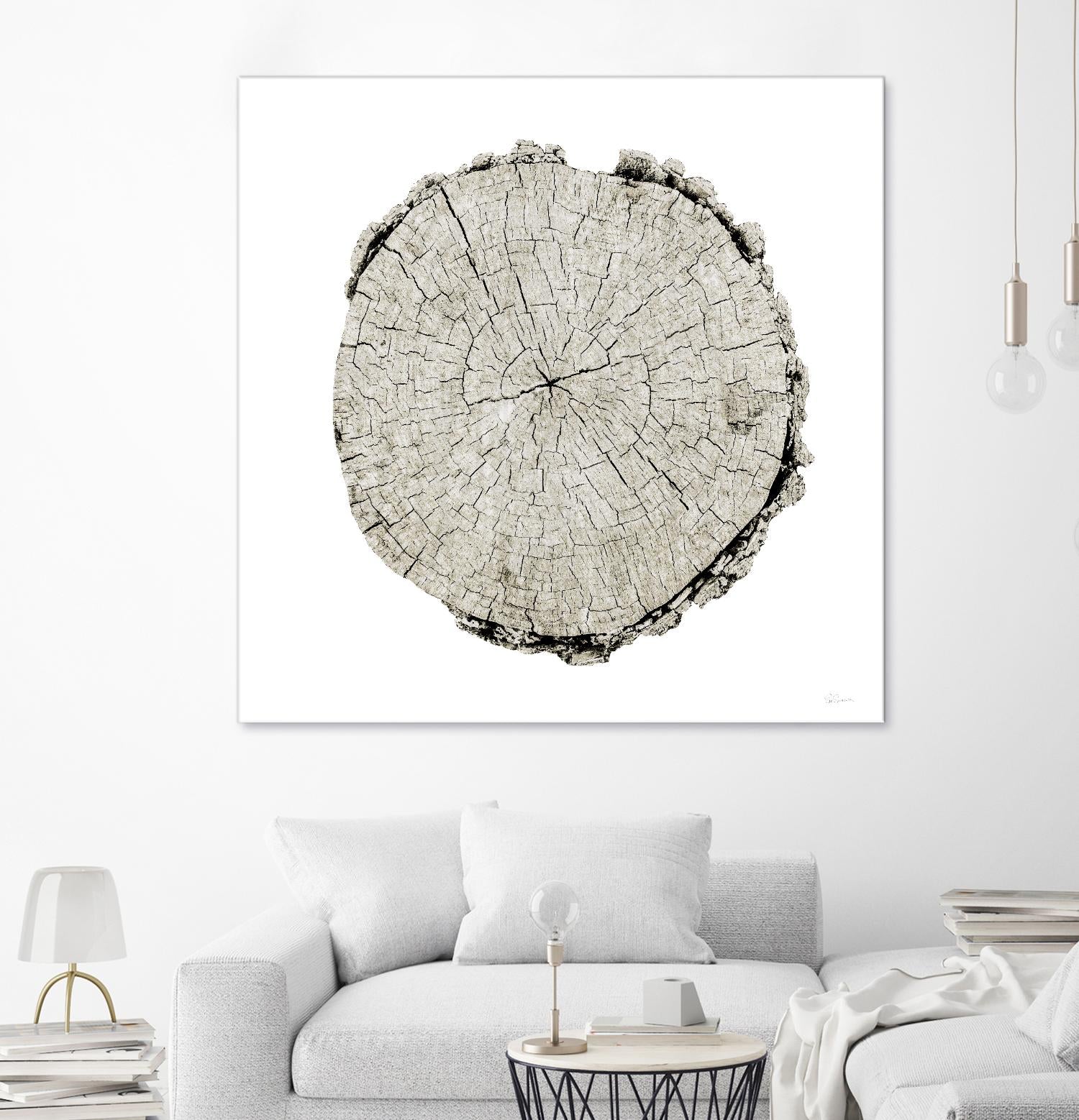 Woodland Years II on White by Sue Schlabach on GIANT ART - grey trees