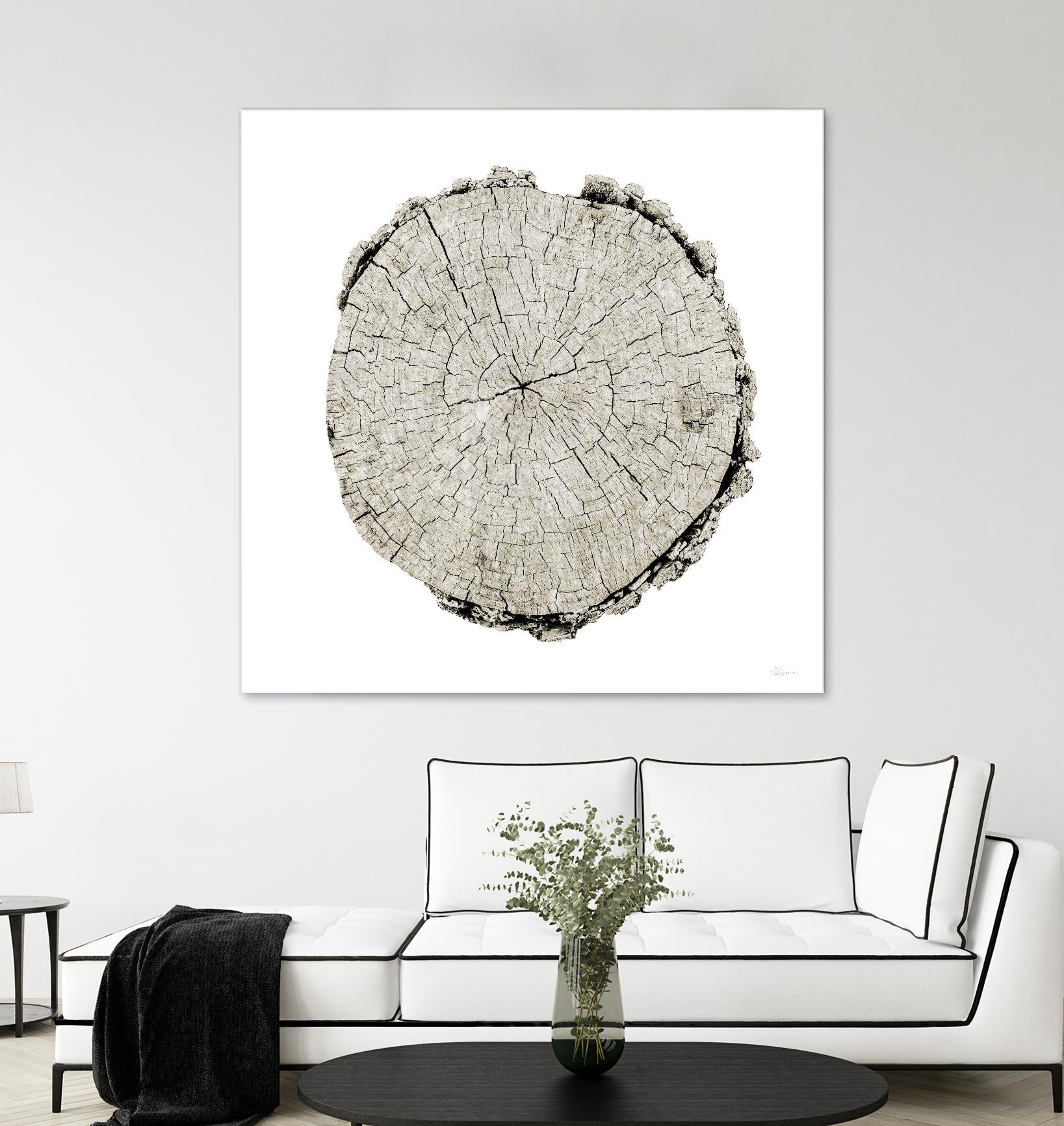 Woodland Years II on White by Sue Schlabach on GIANT ART - grey trees
