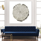 Woodland Years II on White by Sue Schlabach on GIANT ART - grey trees