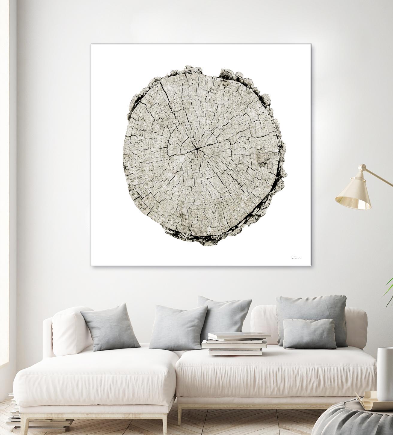 Woodland Years II on White by Sue Schlabach on GIANT ART - grey trees