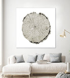 Woodland Years II on White by Sue Schlabach on GIANT ART - grey trees