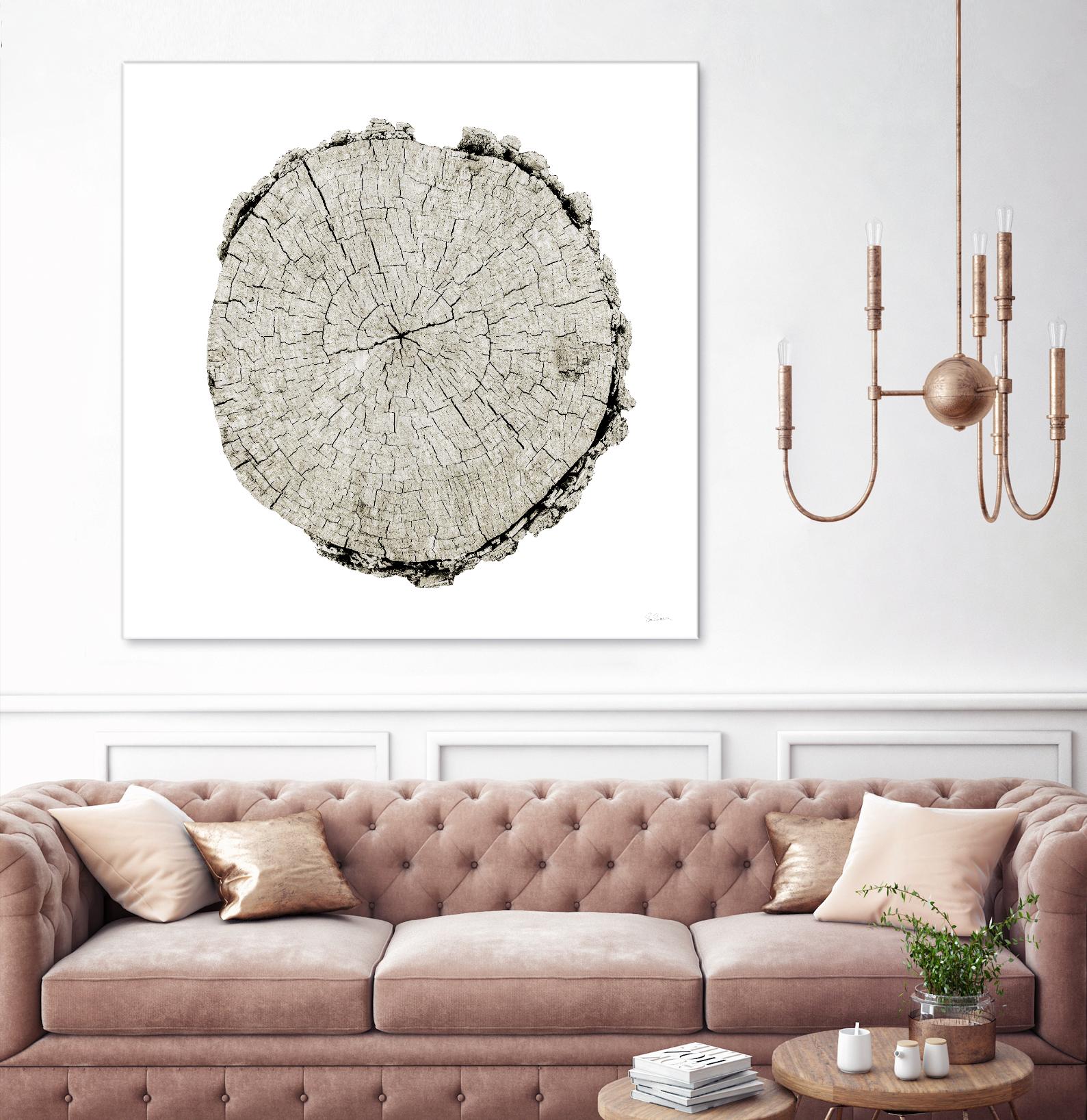 Woodland Years II on White by Sue Schlabach on GIANT ART - grey trees