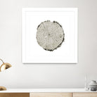 Woodland Years II on White by Sue Schlabach on GIANT ART - grey trees