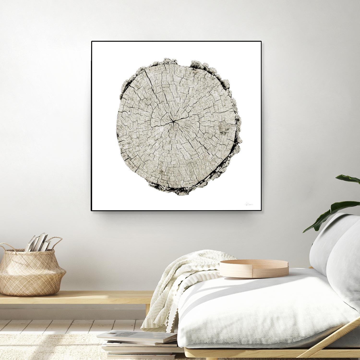 Woodland Years II on White by Sue Schlabach on GIANT ART - grey trees