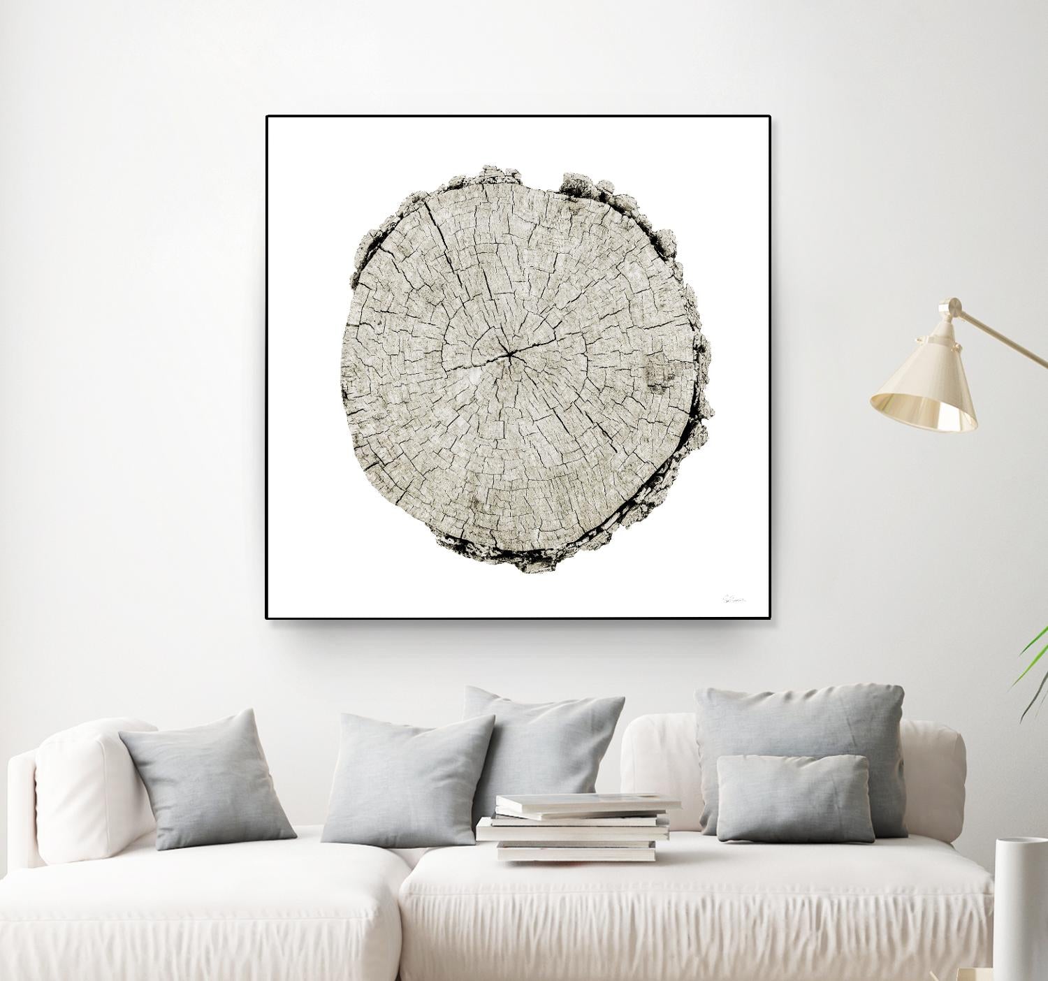 Woodland Years II on White by Sue Schlabach on GIANT ART - grey trees