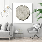 Woodland Years II on White by Sue Schlabach on GIANT ART - grey trees