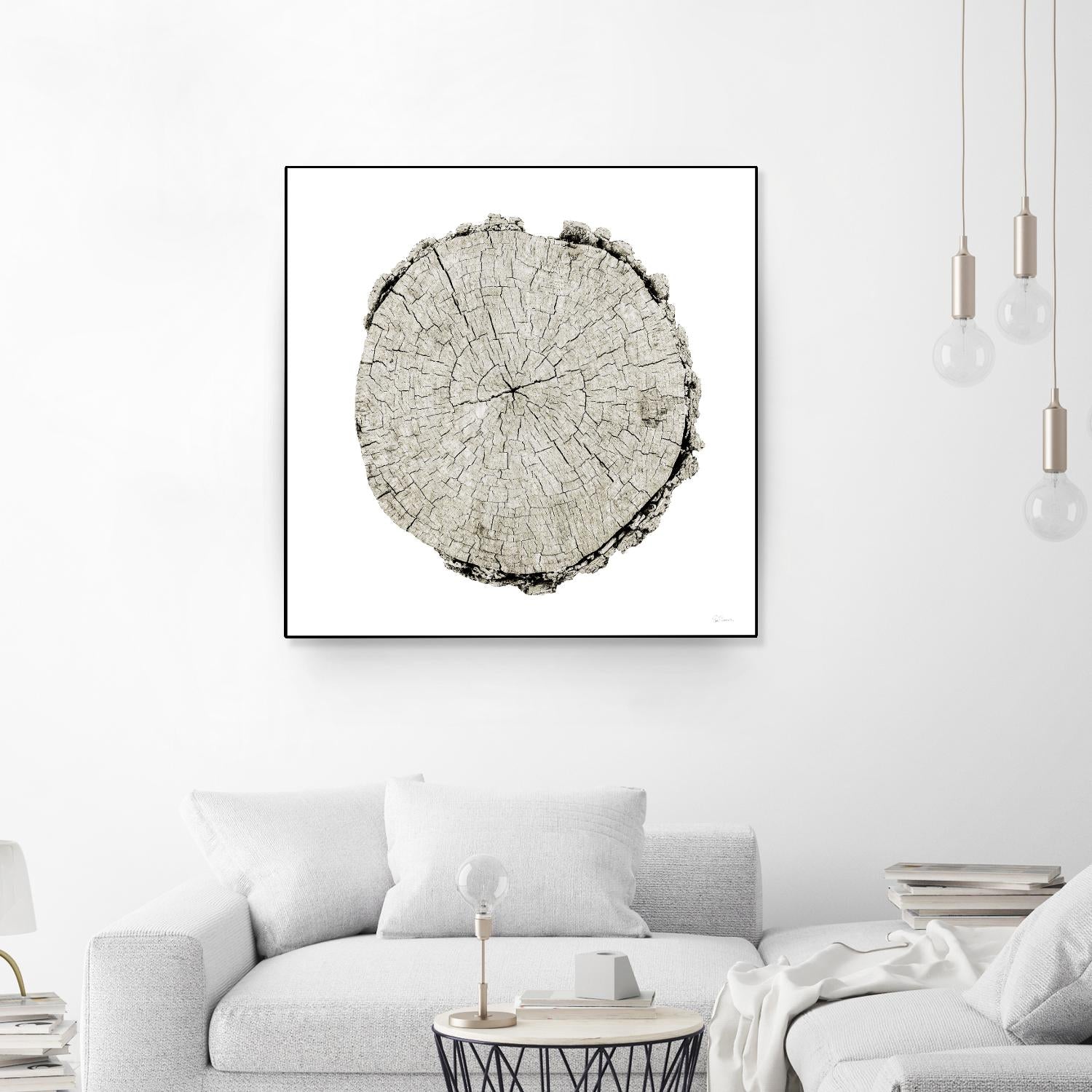 Woodland Years II on White by Sue Schlabach on GIANT ART - grey trees
