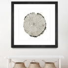 Woodland Years II on White by Sue Schlabach on GIANT ART - grey trees