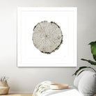 Woodland Years II on White by Sue Schlabach on GIANT ART - grey trees