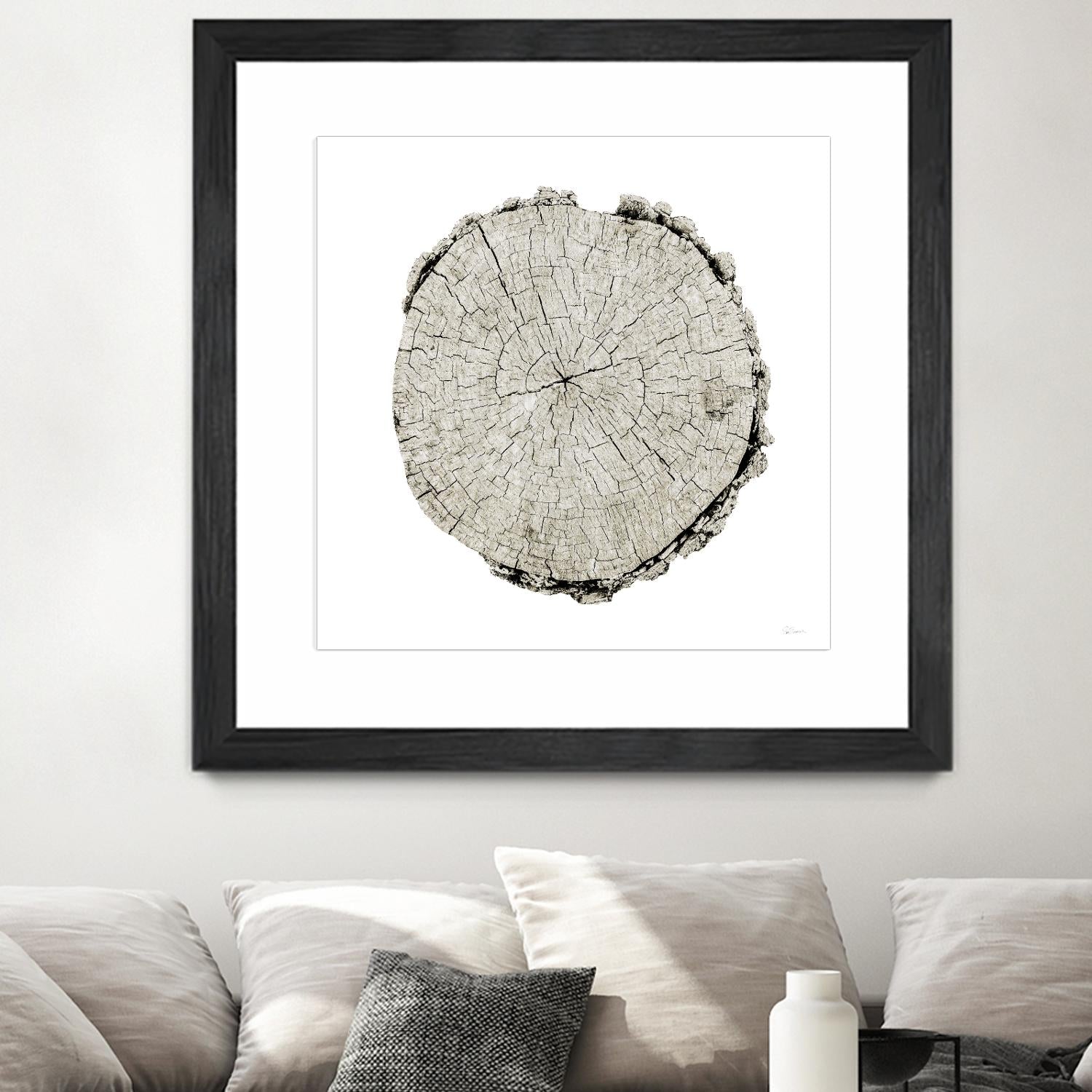 Woodland Years II on White by Sue Schlabach on GIANT ART - grey trees