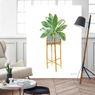 Green House Plants I by Farida Zaman on GIANT ART - botanical gray