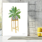 Green House Plants I by Farida Zaman on GIANT ART - botanical gray