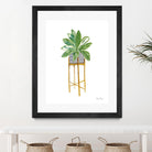 Green House Plants I by Farida Zaman on GIANT ART - botanical gray