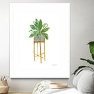 Green House Plants I by Farida Zaman on GIANT ART - botanical gray