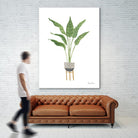 Green House Plants III by Farida Zaman on GIANT ART - botanical gray
