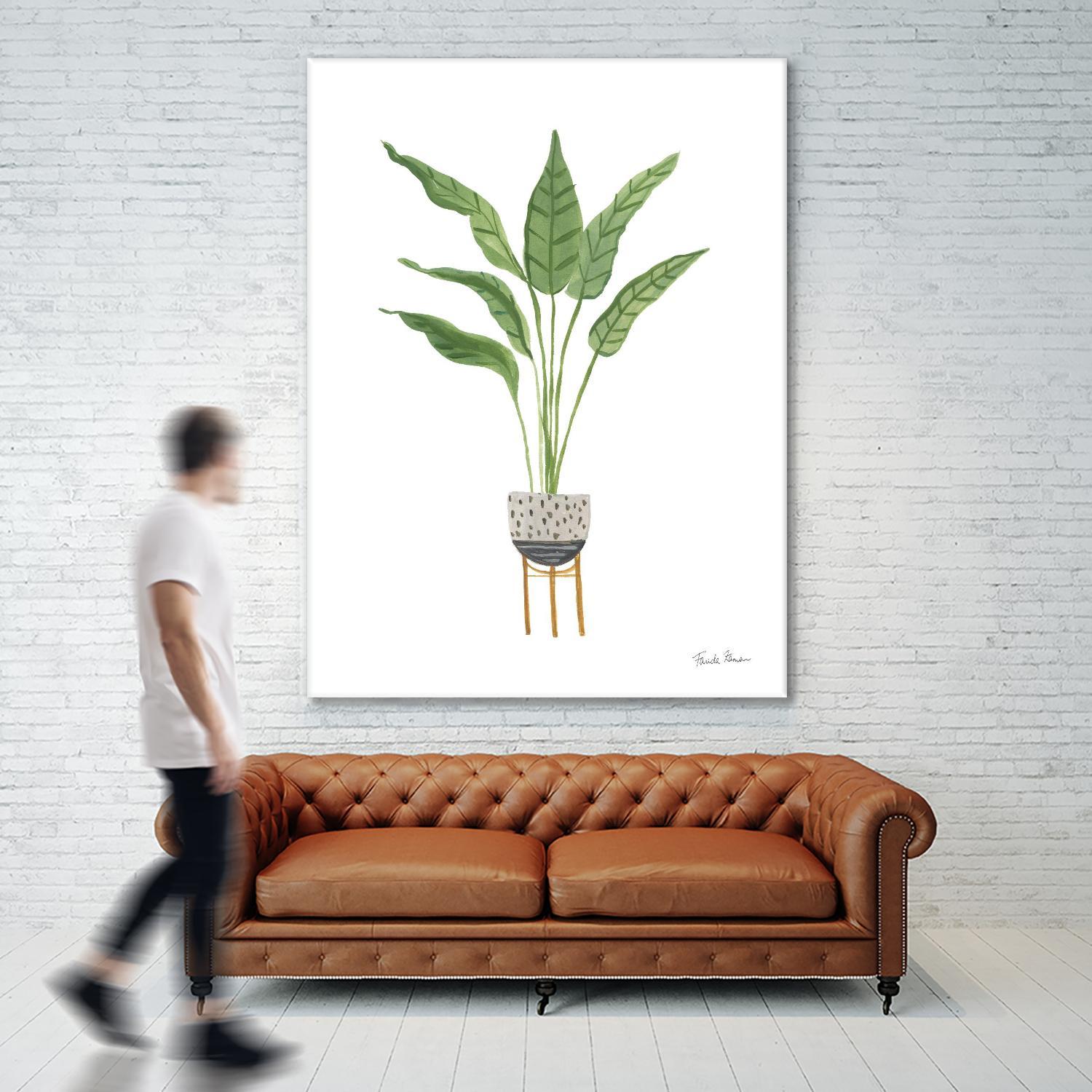 Green House Plants III by Farida Zaman on GIANT ART - botanical gray